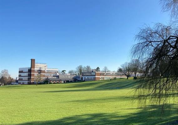 croydon_high_back.jpg